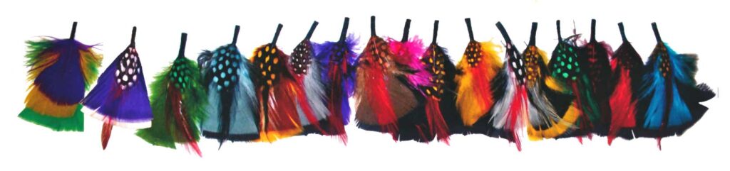 Line of different colored feathers for men's dress hat brims.